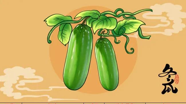 1.9 竞彩推荐分析