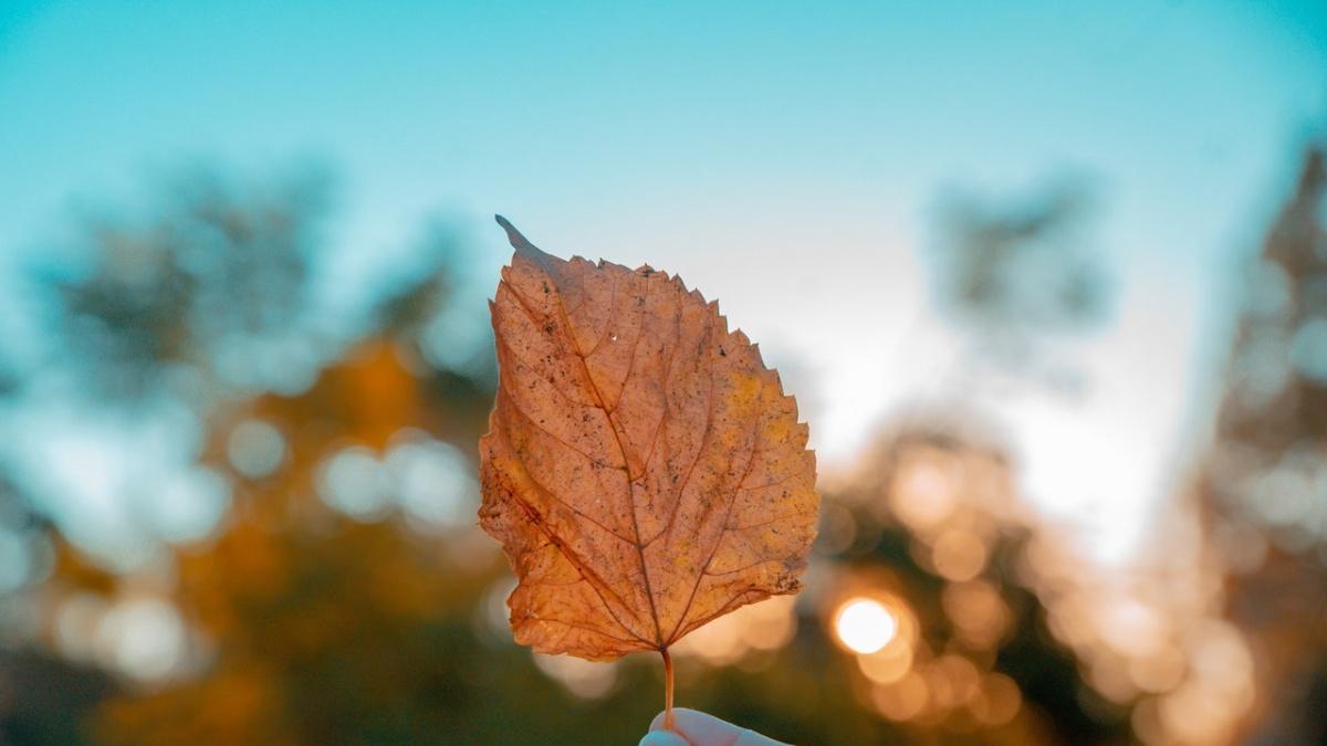 总有一天你会明白：所有的相遇，都是一场“因果”