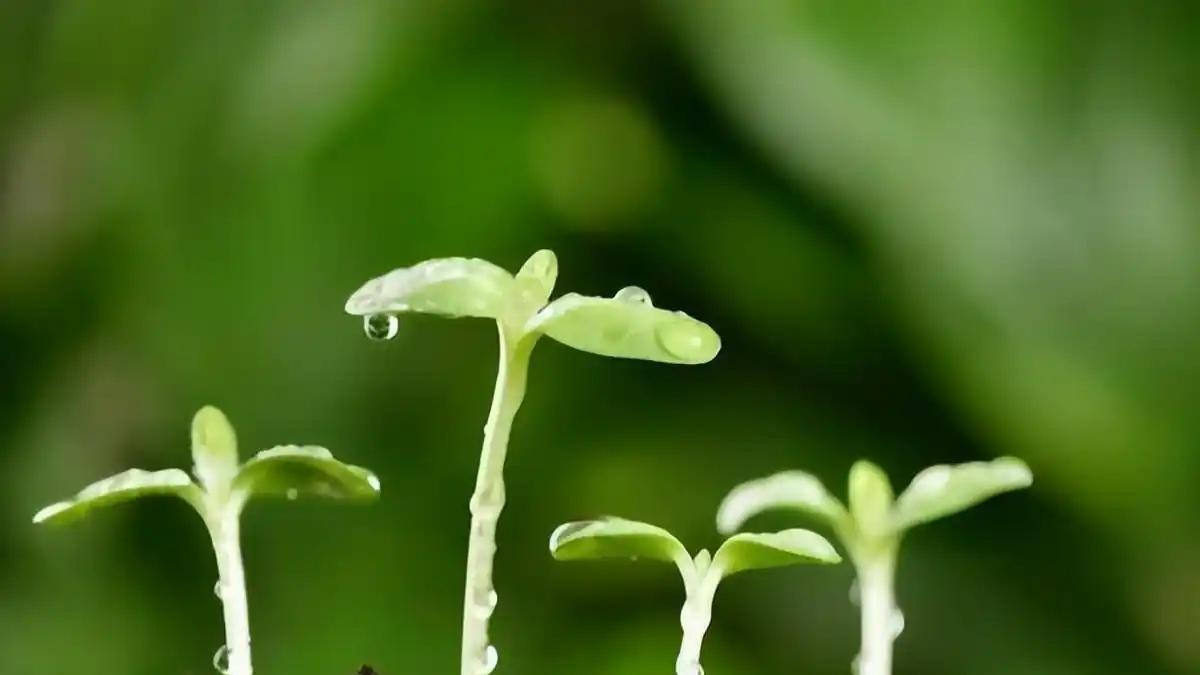 不要试图感化谁，这样的想法很傻