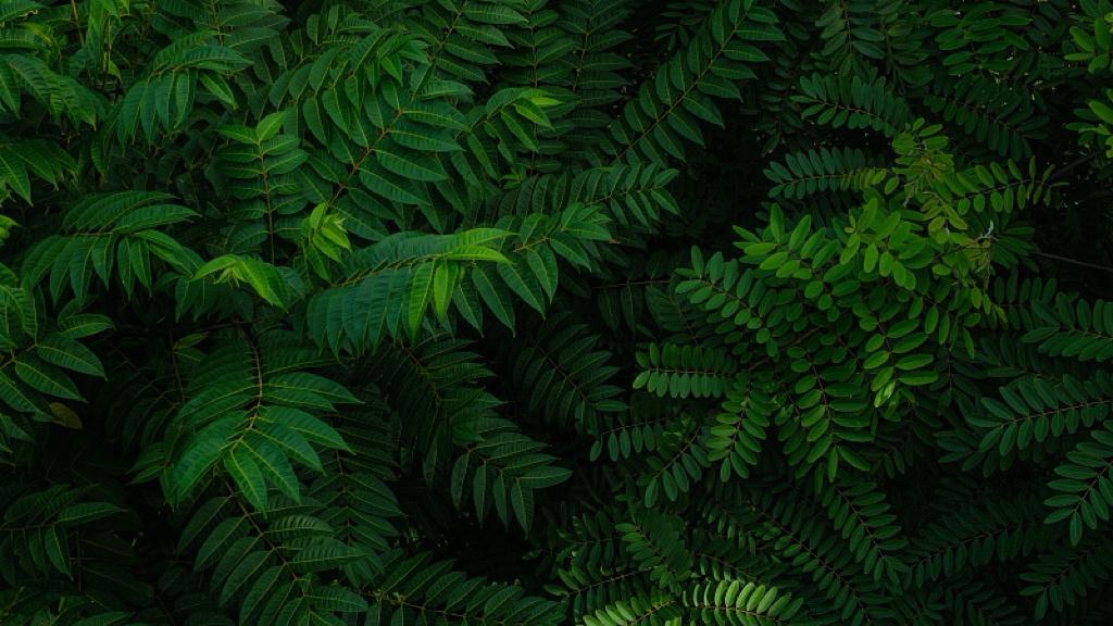 县域富民，赢在利益重组