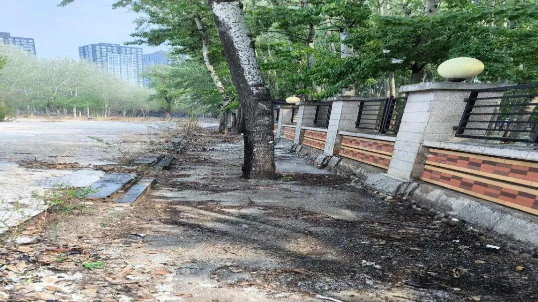 一男子点燃柳絮引起火灾，拘！