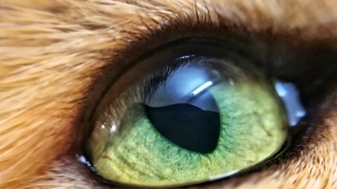 去男友家吃顿饭，我差点结了婚，结局却出乎意料。