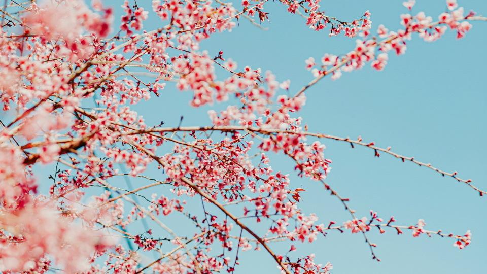 儿子儿媳每月还房贷，我独居大平层，亲家母说我自私我觉得是清醒
