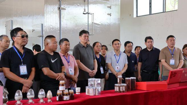 丹参田里的欢声笑语！这场高素质农民培训，点亮渑池中药材振兴路