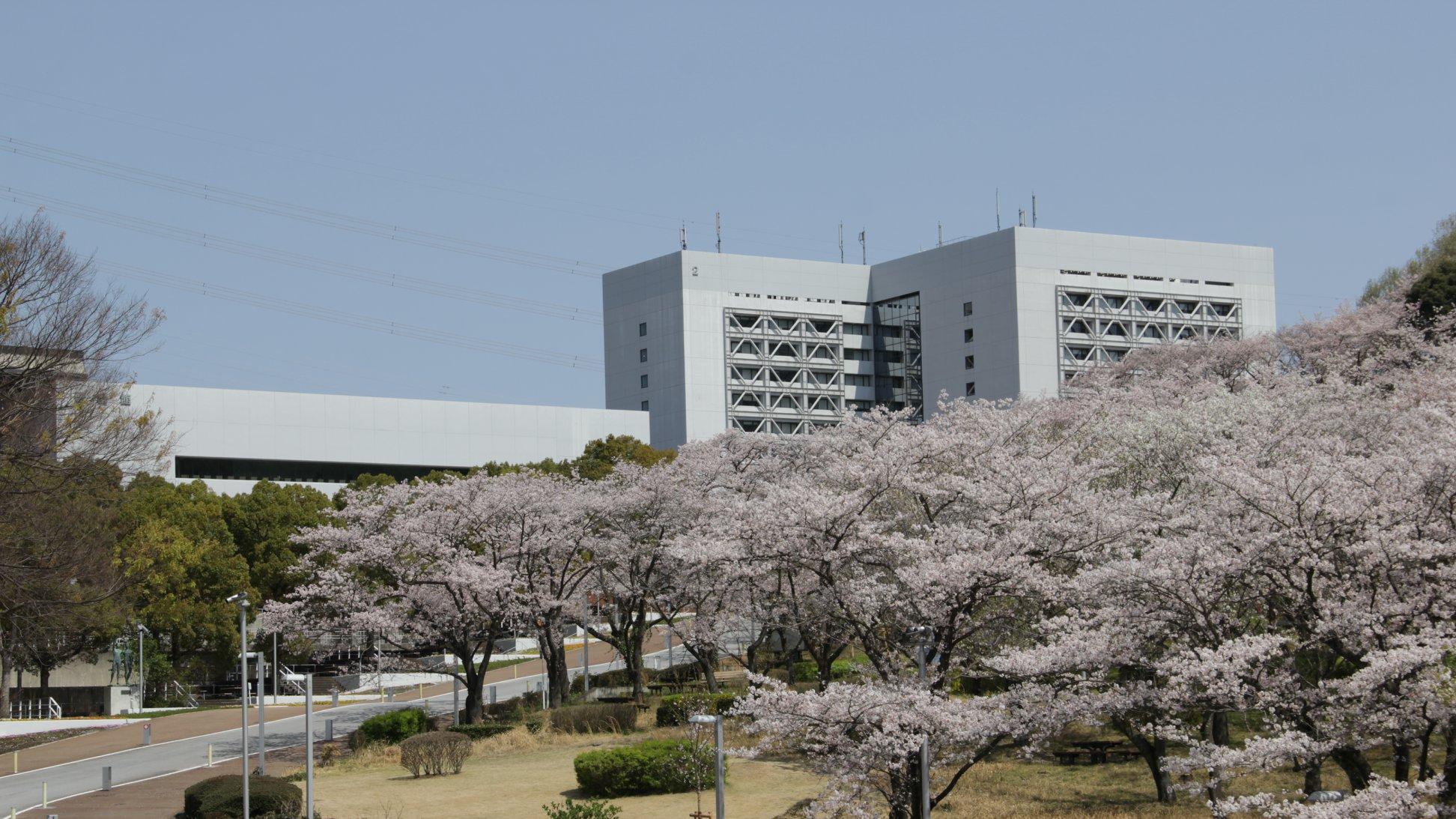 日本留学考试（EJU）报考日本本科，“分数线”需要达到多少？