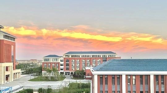 山东500-550分：青岛农业大学深厚的科研底蕴与人才培养硬实力