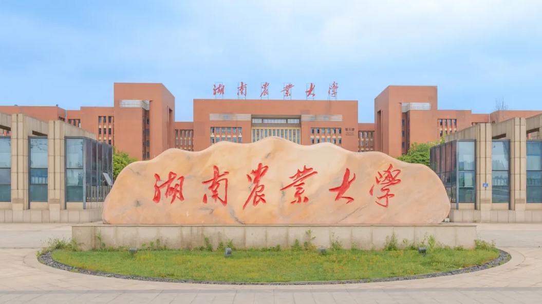 湖南物理类530—540分，推荐报省内哪所大学？