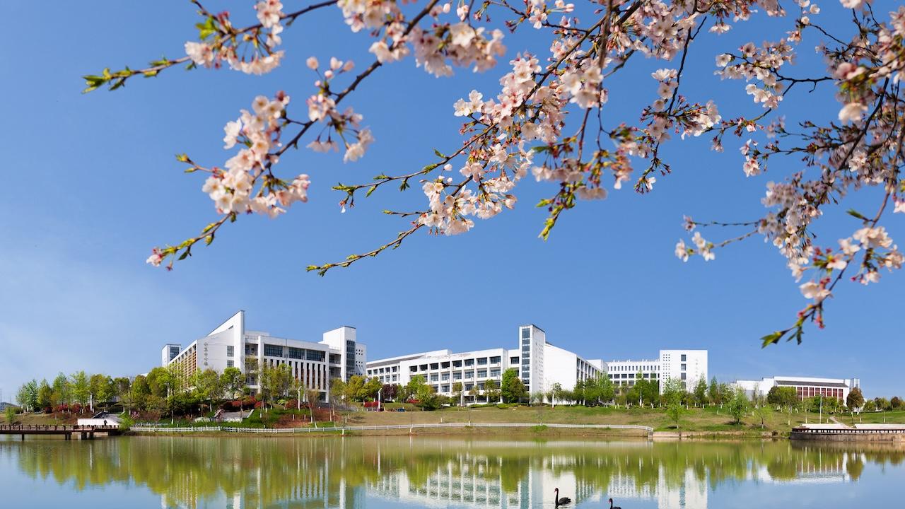 国内高校分享第62期：合肥工业大学-电气专业不只进电网：阳光电源实习直通高薪新能源岗