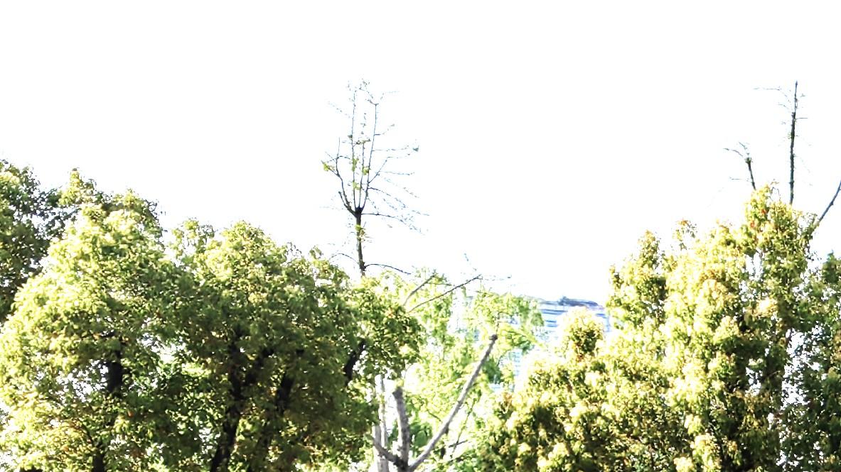 行走职场：不怕难看，就不难堪