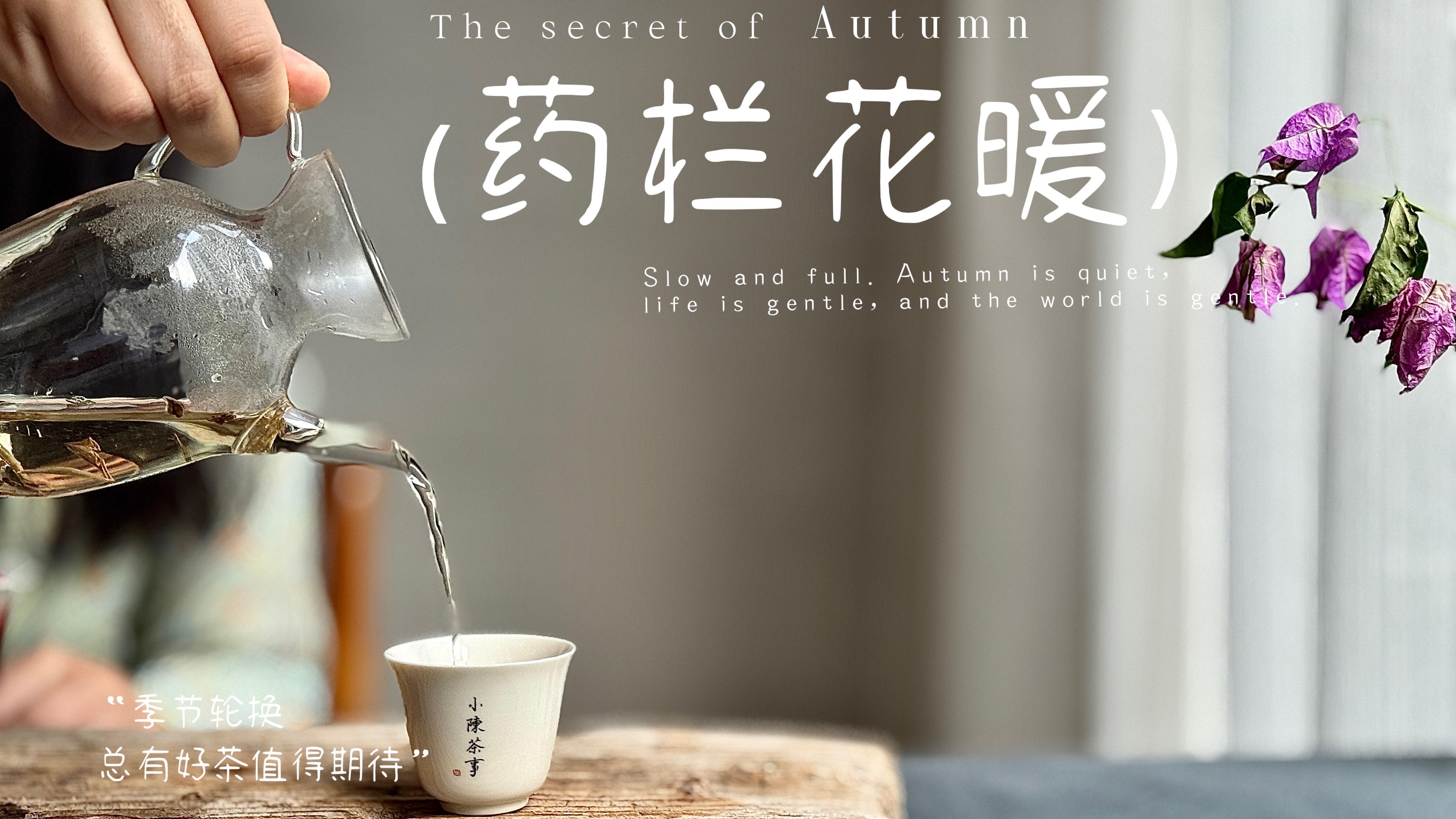 那些外形好看的白牡丹饼，为什么这么难喝？背后藏着哪些猫腻？
