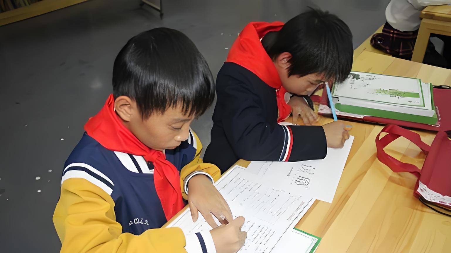 超大城市教育资源错配与公平保障困境及破解路径——以北京非农业留守儿童就学问题为例