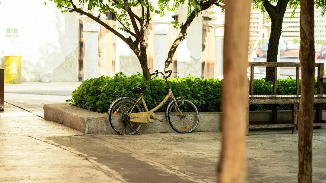 19年买房被套后，我靠租改善房找回幸福感