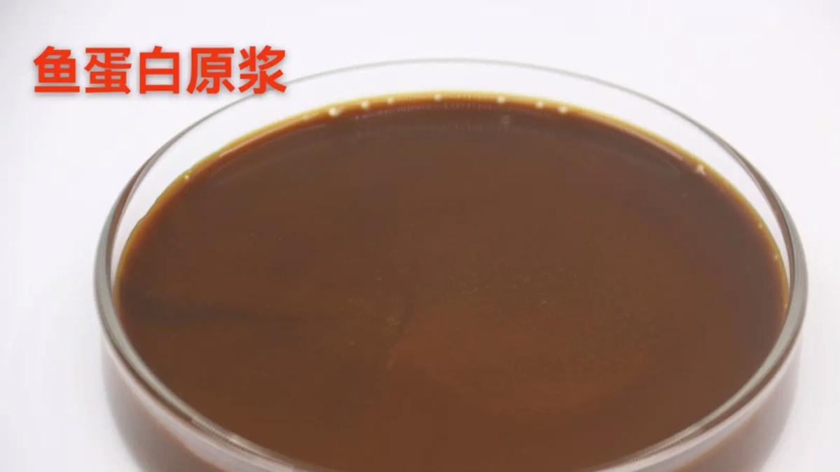氨基酸肽vs鱼蛋白，争论了三年的话题，其实从一开始就问错了