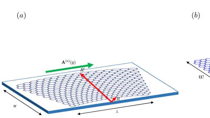 从1D到3D：不同维度材料的态密度特征及其在材料科学中的深远影响