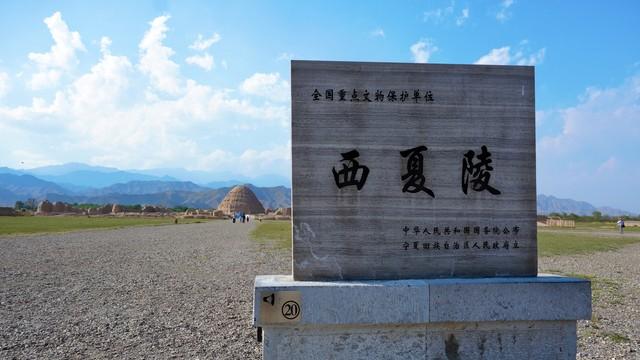 西夏文字的“退役”听证会：党项精英如何抉择民族记忆的归宿？