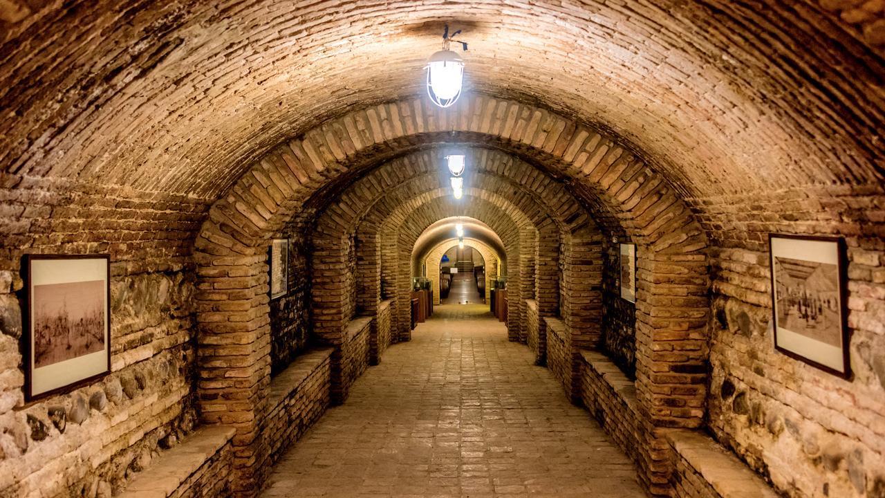 格鲁吉亚人类酿酒史的头把交椅 距今8000年前的人工栽培葡萄遗迹