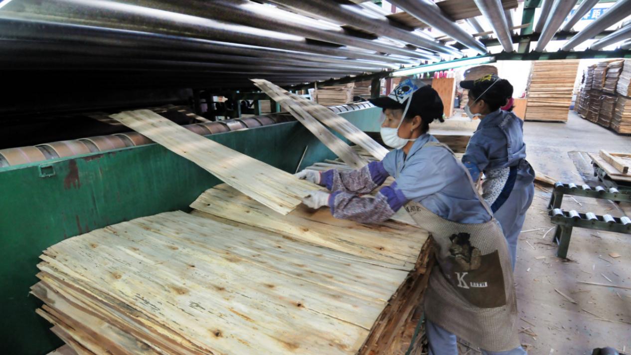 中国硬木胶合板将被征收187%初步关税