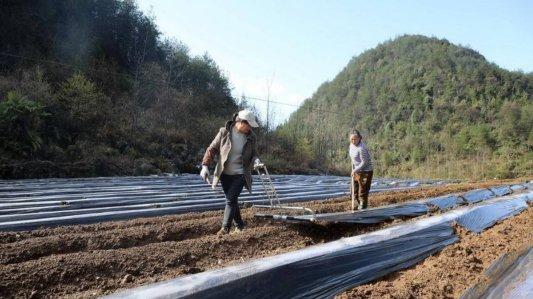 湖北咸丰：农机上山省劳力 农技下田筑根基