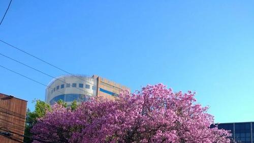 甲木人的命运月份表：几月生贵，几月生富？