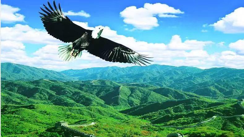 蠢货之所以蠢， 就是不知道自己是蠢货！