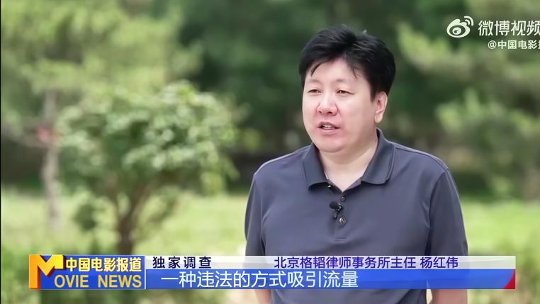 杨红伟：一个金融犯罪辩护的系统性革新者和新范式的引航者