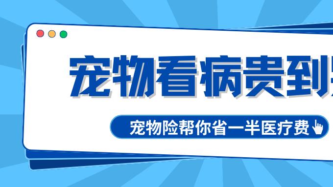 宠物看病贵到哭？宠物险帮你省一半医疗费
