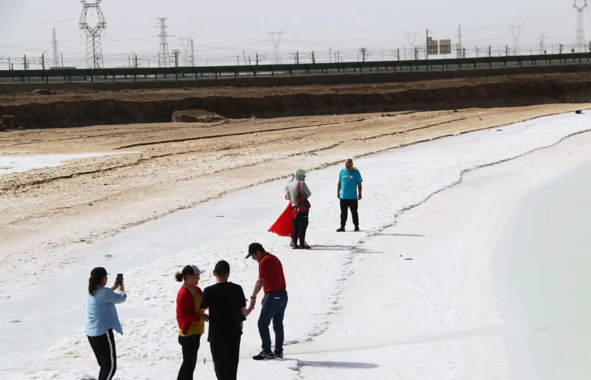 野生察尔汗盐湖（工业与游客）