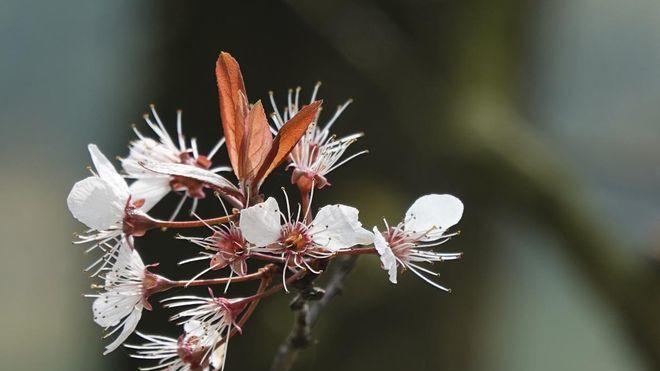 同样是聊天赴约，怎么判断中年女人对你是好感还是礼貌？