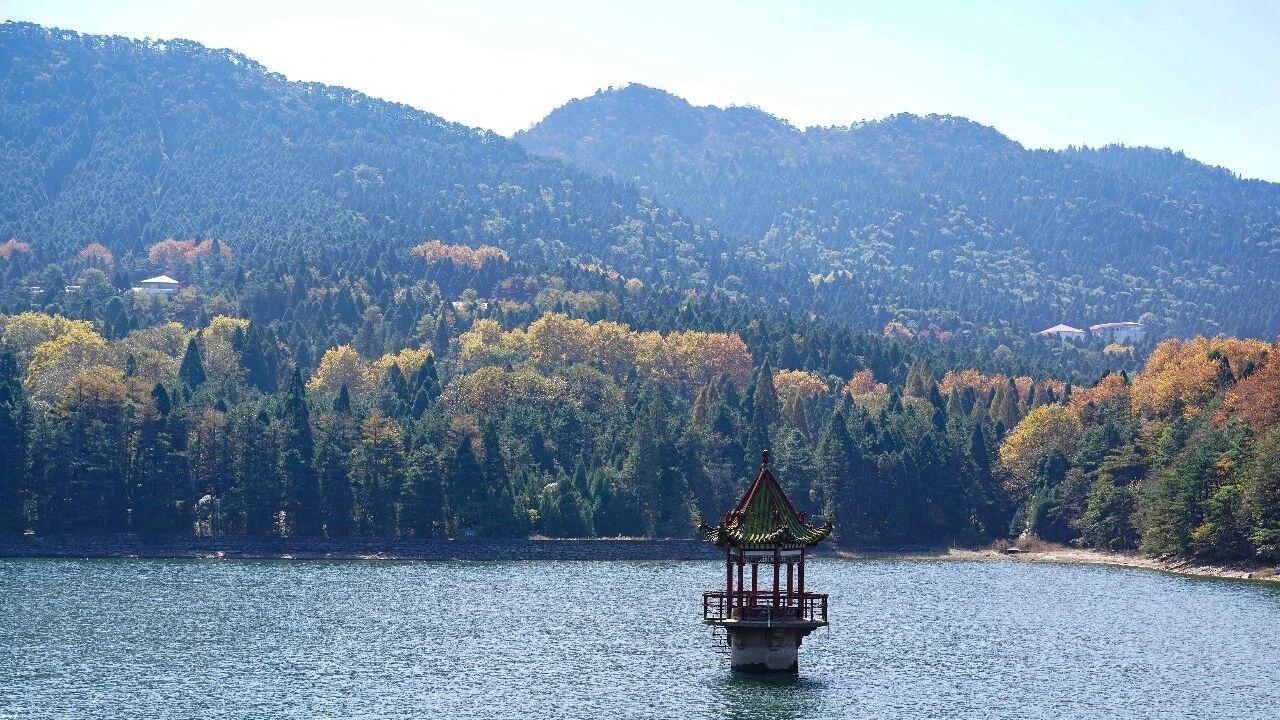 3月旅游“捡漏”指南：多地景区免票，机票低至300元