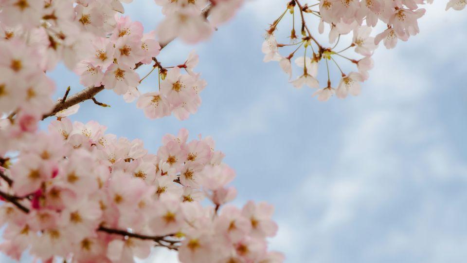 老公想把家中90万存款，都给儿子还房贷，我不同意，吵到要离婚