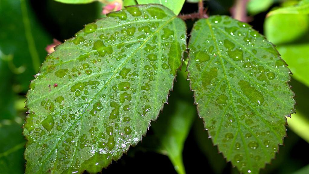 企业才是未来产业的C位