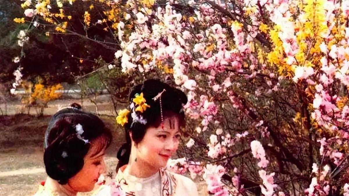 “薛家现今大富”，为什么宝钗只有一两个丫鬟？