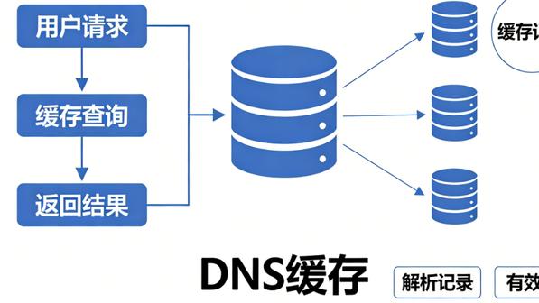 完整版指南：DNS 缓存的核心定义、作用、危害与防护全攻略