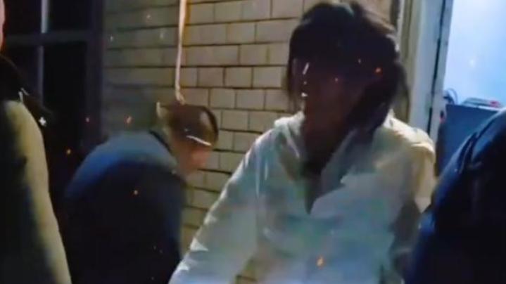 刨猪汤狂欢变味，呆呆的麻烦事儿来了，究竟咋整？