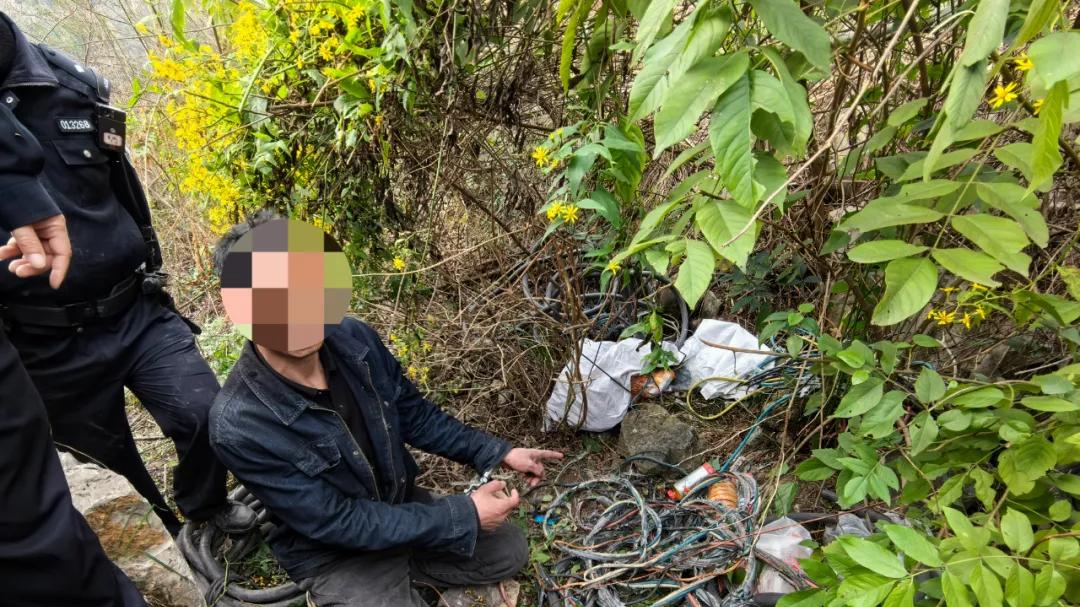 小偷小摸想偷懒，偷到电缆“刑”满满