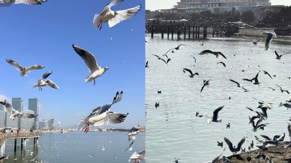 第一次去日照旅行，不绕路行程