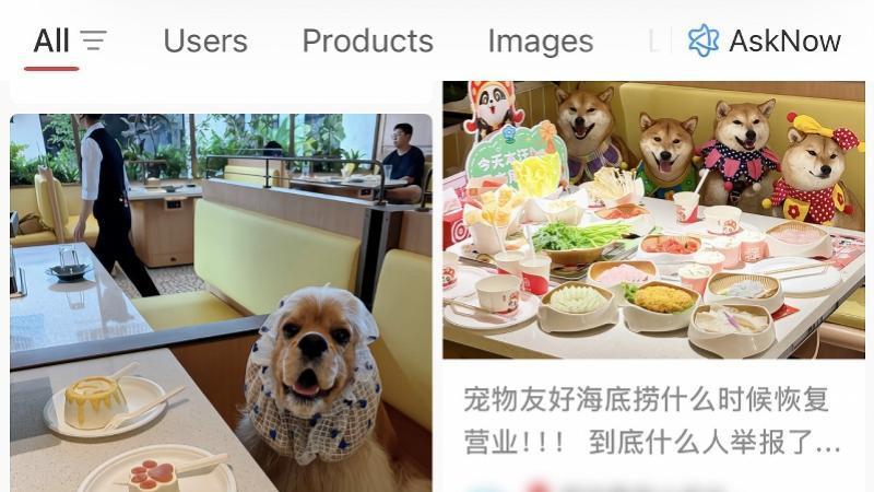 老乡鸡携宠进店争议：危机公关与行业思考
