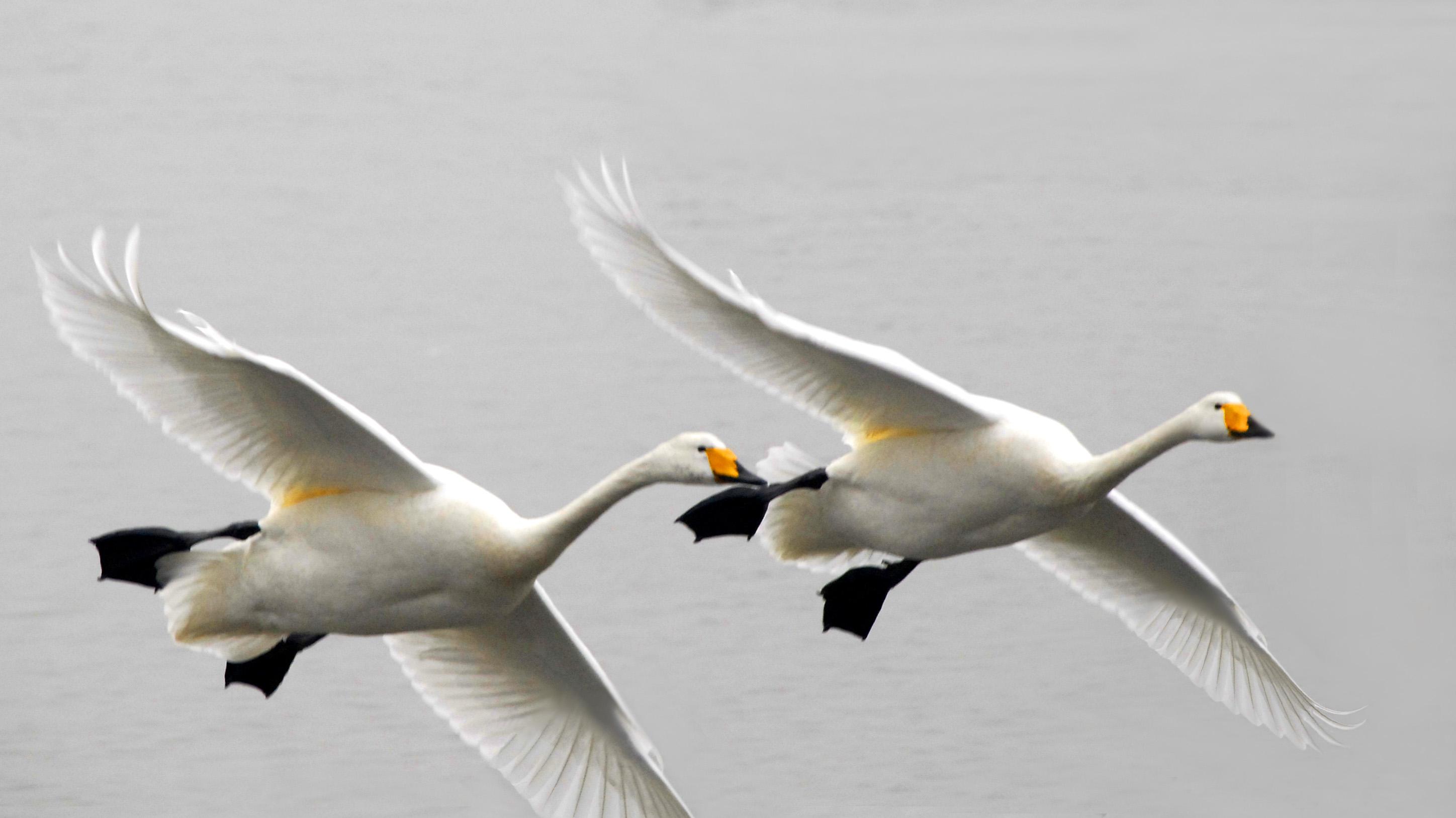 1毫米的区别，为什么会致命？