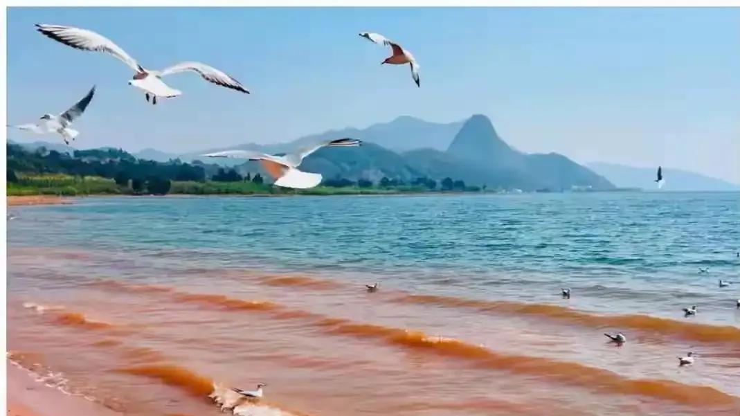 华晨宇哭了，火星梦碎抚仙湖，海南还能接住这份文旅机遇？