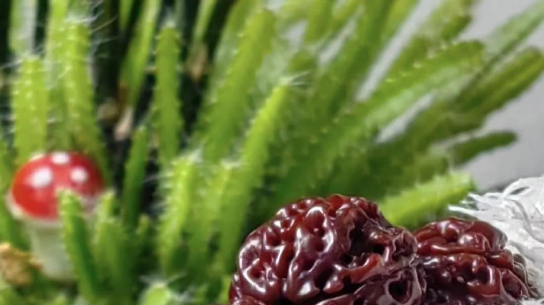 低价金刚菩提真不能买？文玩末法时代这 3 点忠告一定要听