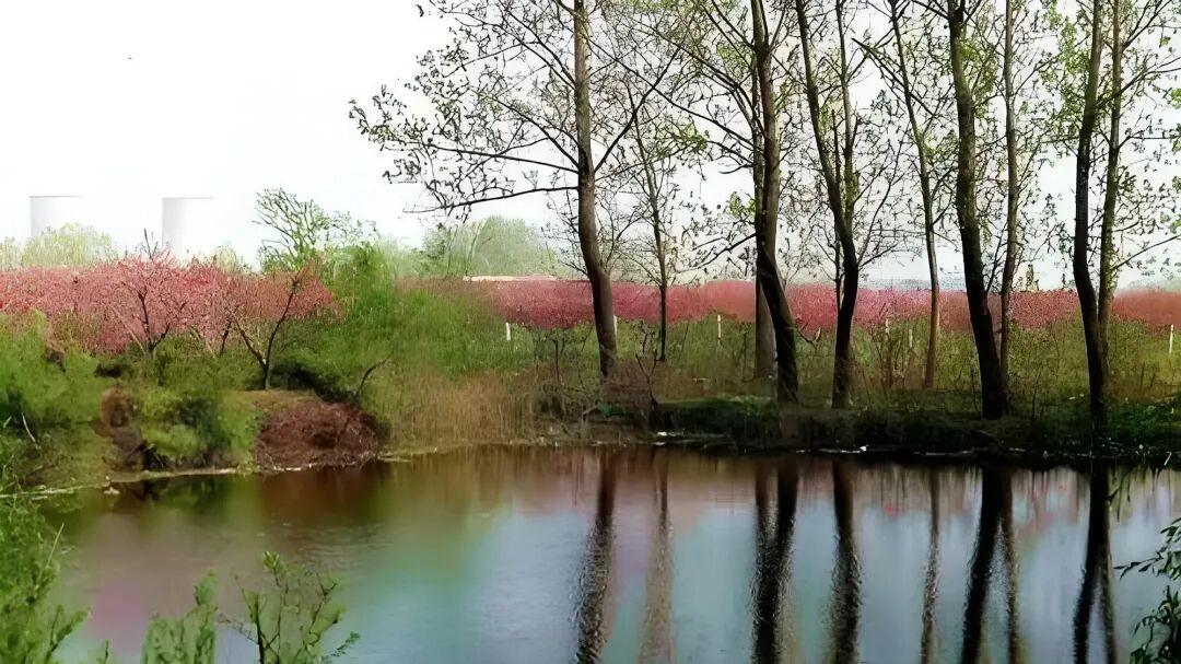 七律·春风如酒醉