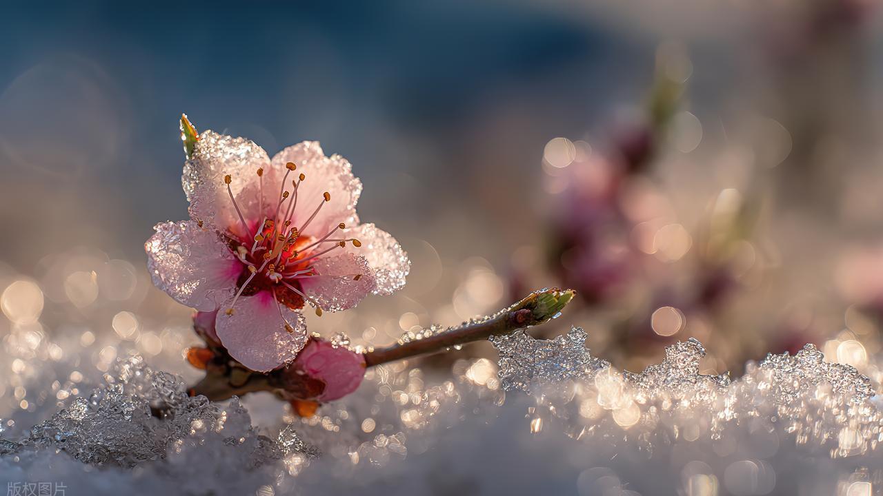 坐牢的人觉得日子过得慢吗？学3年，熬3年，混混又3年