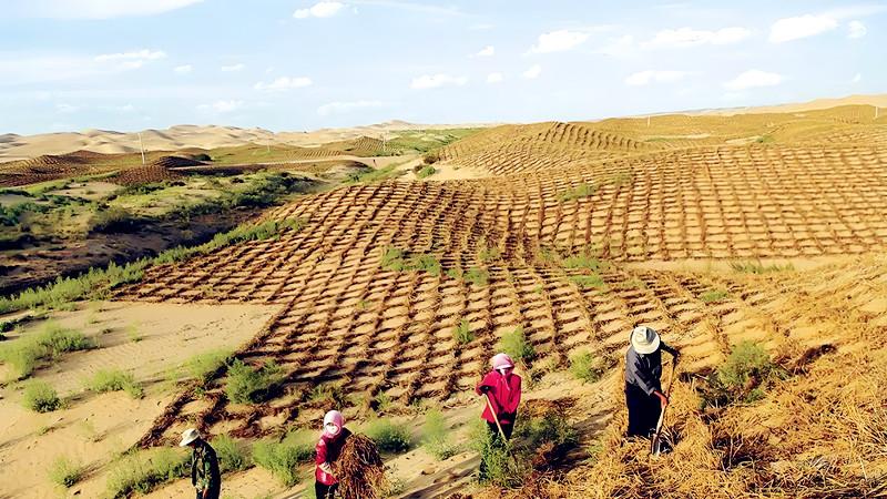 中国戏曲（外二首）