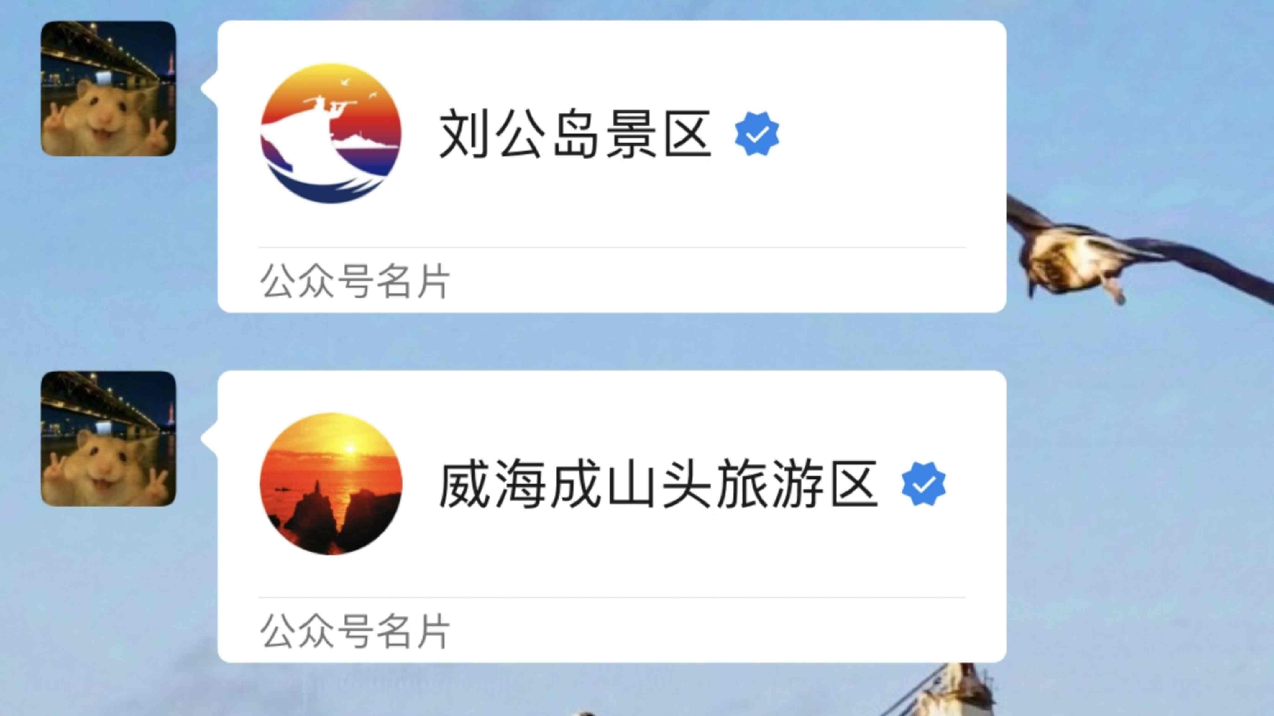 威海会惩罚每个不提前预约的人！！！