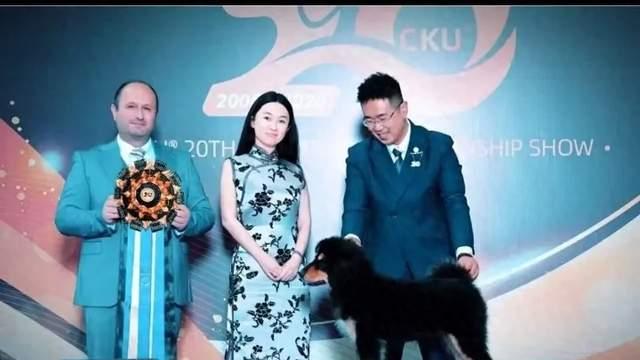 穿旗袍遛狗登上热搜榜！46岁的霍思燕这次不靠演戏，照样杀疯了