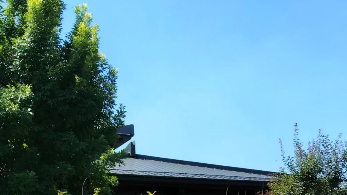 2026年每日通盛及各生肖运势3月9日