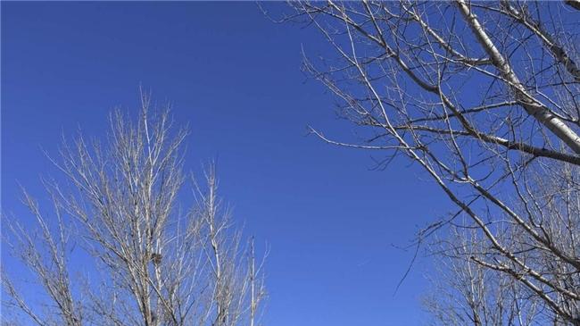 干就完了，这就是我想要的自由！