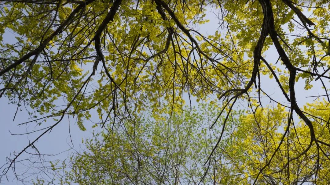 诸葛亮《兵法二十四篇》精华12句，感悟智慧谋略，参透获益终生！