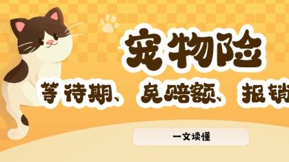 一文搞懂宠物险等待期、免赔额、报销比例，小白也能看懂