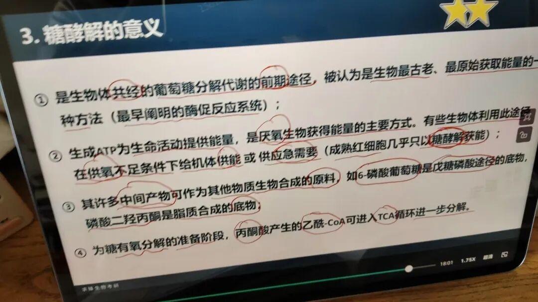 河北外国语学院生物医药专业王淼淼考研成功!